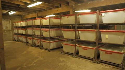 Pan shot on generic storage room with boxes Stock Footage 99049066