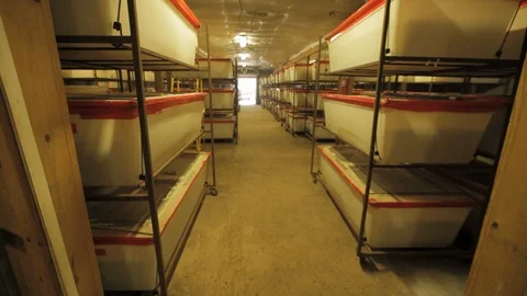 Pan shot on generic storage room with boxes Stock Footage 99049098