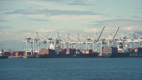 Pan Shot Of Global Ocean Container Ships at Delta BC Shipyard Canada Stock Footage 80745782
