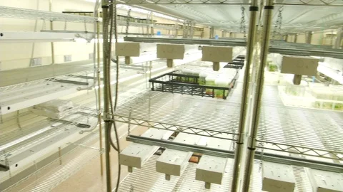 Pan shot of laboratory storage room filled with plants on shelves Video stock 99048762