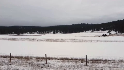 Pan shot left to right across snow covered field with trees Stock Footage 125278075