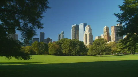 Pan shot light and shadow central park part II Stock Footage 272221