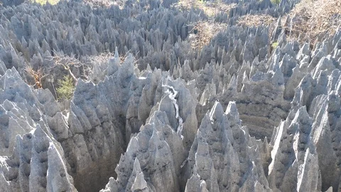 Pan Shot of Limestone Forest Peaks, Tsingy de Bemaraha Park, Madagascar Stock Footage 117314937