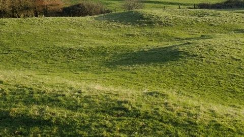 Pan up shot of lush green Jerpoint park in Ireland Stock Footage 93703553