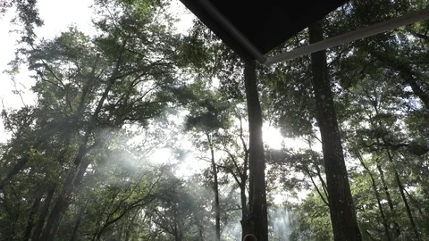 Pan Shot of Main Grilling Food and Beautiful Trees Stock Footage