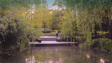 Pan shot of a park scene Stock Footage 38733653
