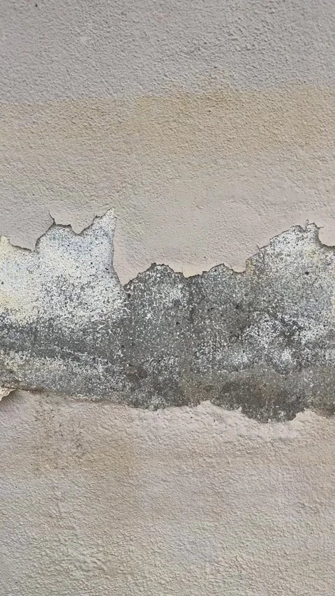 Pan Shot Of Peeling Paint And Damaged Plaster On Exterior Wall Stock Footage 321179986