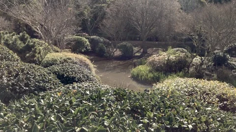 Pan shot of pond, surrounded by trees and green foliage, Ju Raku En Stock Footage 114234516