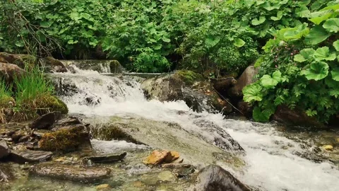Pan shot of stream flowing along green riverbank Stock Footage 95755536