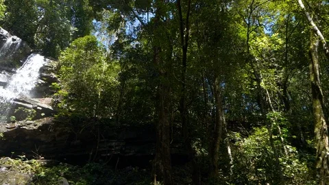 Pan shot of a stunning waterfall, in a dense forest, India 動画素材 119414534