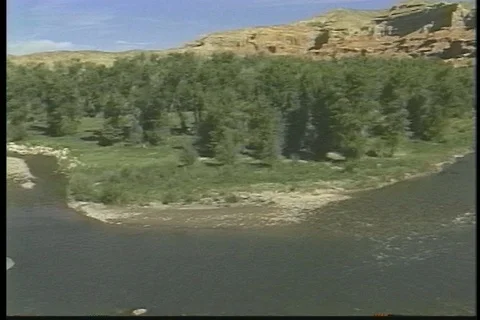 Pan Shot of Thick Trees along River Bend Stock Footage 121530886