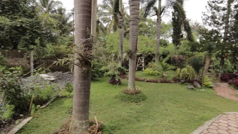 Pan shot of a tropical jungle with a big house and palm trees in a green garden Stock Footage 96587053