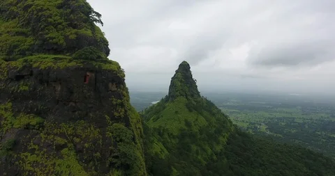 Pan shot of two peak in a lush green forest just after rain Stock Footage 117021185