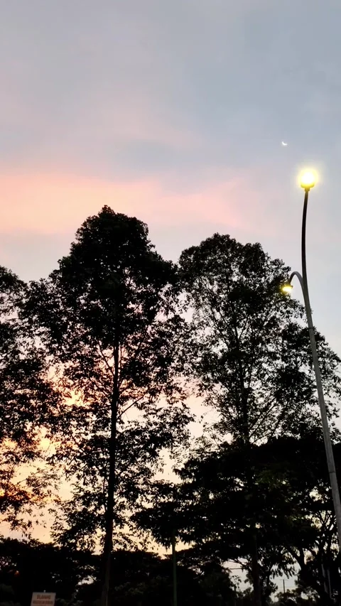A pan shot video capturing the silhouette of trees against a red sunset sky, Stockbeeldmateriaal 278957935