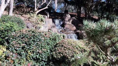 Pan shot of waterfall to nettle trees, Ju Raku En Japanese Garden, Stock Footage 114234505