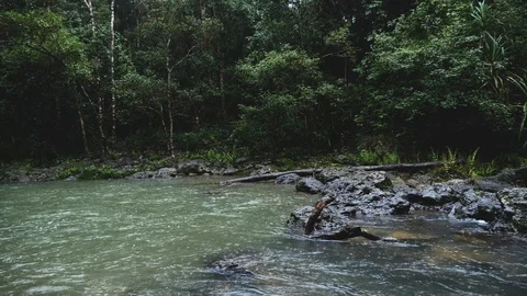 Pan shot of a waterfall, in  a rain forest , India Vídeo Stock 118435984