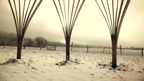 Pan shot of winter landscape, Tipi Stock Footage 71218406