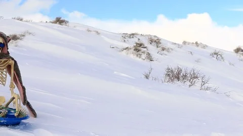 Pan on Skeleton on Snow Slope in Sled wearing Sun Glasses and Hat Stock Footage 103122677