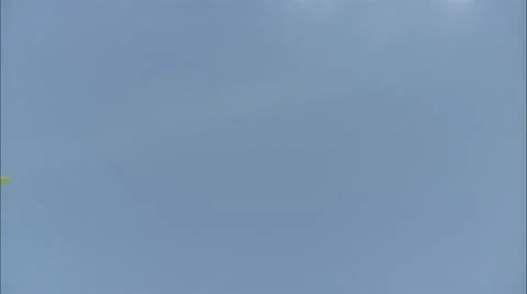 Pan from sky to flower Stock Footage 22664883