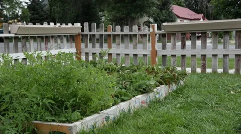 Pan of small front yard garden box. Stock Footage 41416267