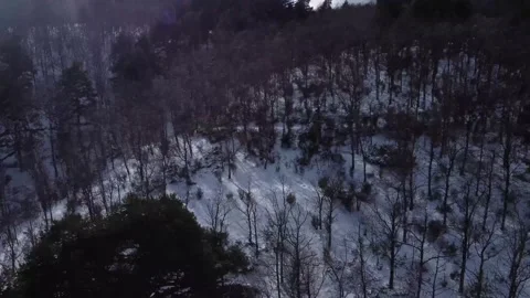 Pan up of snow mountain trees and people walking from above Stock Footage 158547564