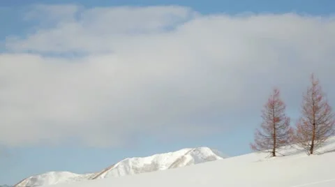 Pan in snow scenes Stock Footage 10811818