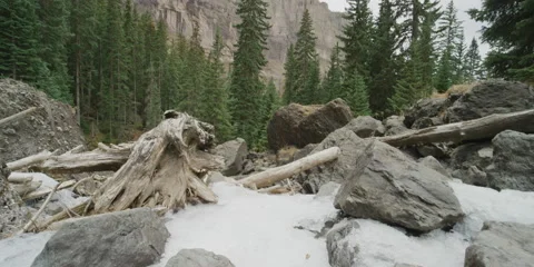 Pan up from snowy ground to pine tree forest and rocky mountains in Telluride Stock Footage 221723344