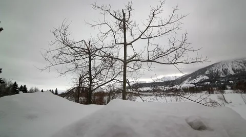 PAN OF SNOWY LANDSCAPE Stock Footage 1012602