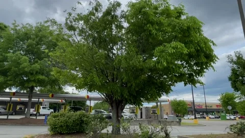 Pan of Sonic restaurant Drive in distant side view of parked cars Stock Footage 152432104