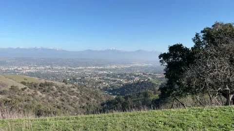 Pan of Southern California with Tree in Foreground Stock Footage 227027178