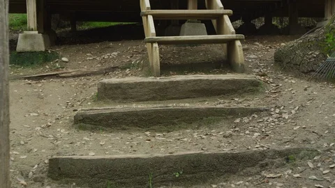 Pan up from steps to Bobcat sitting in cage Stock Footage 111295446