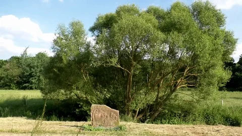 Pan: Stone sculptures in between meadows, trees, willow trees, village Otterbach Video stock 76804116