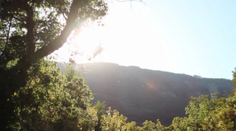 Pan to sun with bugs Vídeos de archivo 25442947