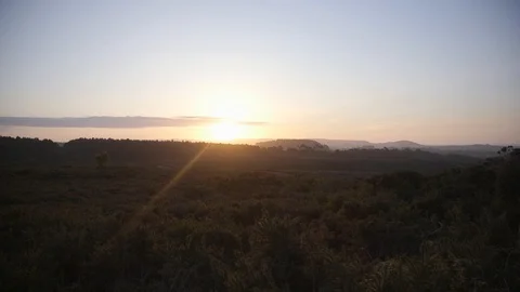 Pan of sunrise over forest in Devon Stock Footage 102978109