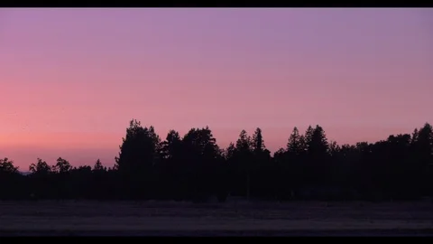 Pan of Sunset over Treetops long shot Cinema 4K Video stock 94400375