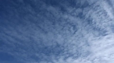 Pan Through Clouds and Trees 스톡 동영상 61022071