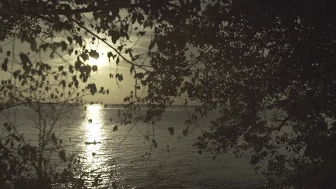PAN through tropical trees leaves with a canoe in the middle of sun line o 库存影片 83564116