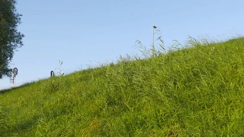 Pan tilt camera platform to road Stock Footage 71760655