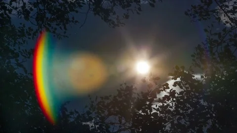 PAN time lapse of the sun and clouds moving above trees with rainbow lens flare Stock Footage 75329171