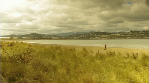 Pan timelapse across Lyall Bay 库存影片 33136750