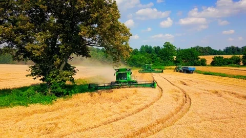 Pan of Tree During Wheat Harvest with 2018 John Deere S780 Combines in 4K 動画素材 91001446