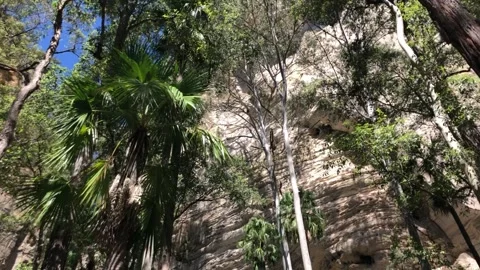 Pan up to tree line in the amphitheater @ Canarvan gorge 库存影片 152810081