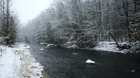 Pan From Tree Reveals Winter Snow Covered Shoreline On Mountain River In Forest Stock-Footage 162222202