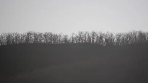 Pan of Trees in Appalachian Mountains During the Day Stock Footage 332381924