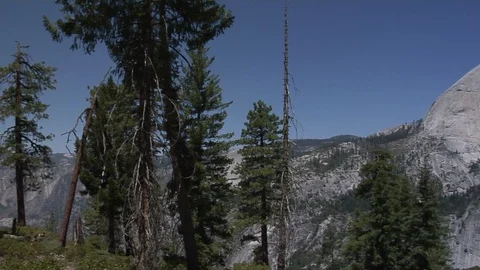 Pan of trees &amp; mountains from Panorama Trail - Yosemite NP Stock Footage 90386495