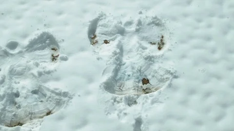 Pan of two snow angels Video stock 74092599
