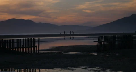Pan twopeople walking on the beach 库存影片 90566701
