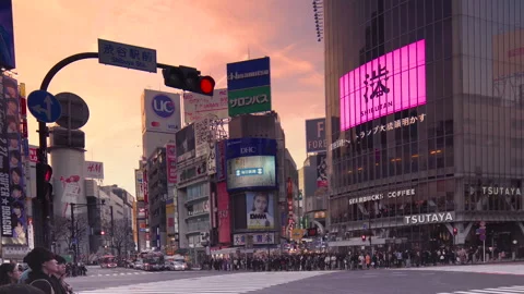 Pan video of crowd waiting and crossing at the Shibuya Intersection at sunset Video stock 127629205