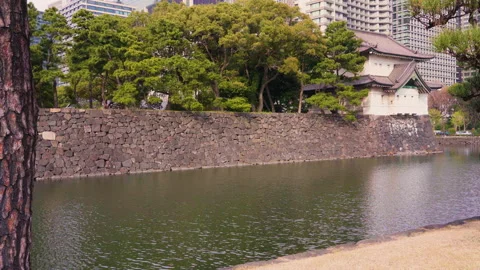 Pan video of pine trees along the moat of the Tokyo Imperial Palace. Video stock 125640747