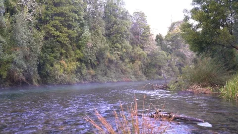 Pan view at Caburgua river rapids inside an awe scenery, Chilean Patagonia 스톡 동영상 117399307
